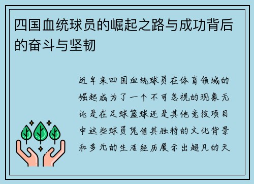 四国血统球员的崛起之路与成功背后的奋斗与坚韧