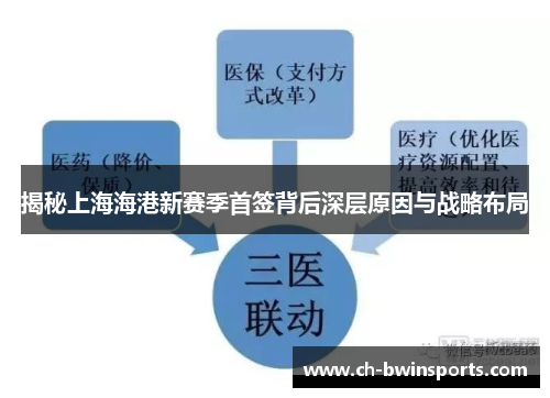揭秘上海海港新赛季首签背后深层原因与战略布局