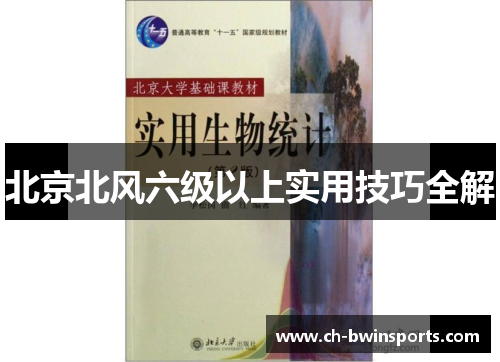 北京北风六级以上实用技巧全解